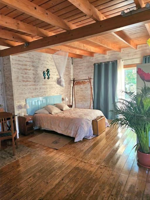 Casa Seahorses B Cottage 에리세이라 외부 사진