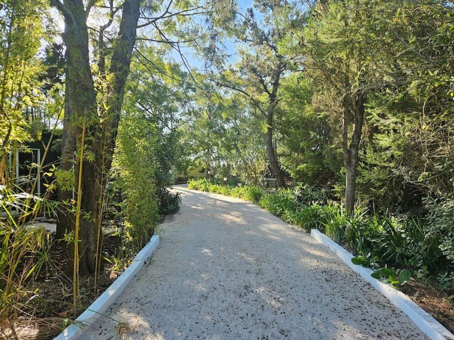 Casa Seahorses B Cottage 에리세이라 외부 사진